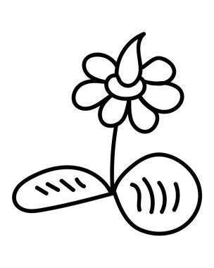 Çizik biçiminde doğrusal narsisus, yuvarlak yapraklı çiçek tasarım için vektör çizimi