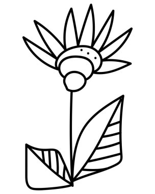 Çizik biçiminde doğrusal çiçek, çizgili yapraklı bitki tasarımı için vektör çizimi