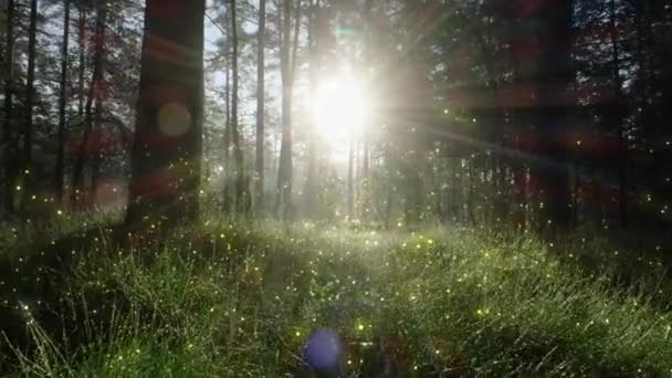 Казка Чарівний Ранковий Ліс Блискучими Світлячками Магічні Частинки Виблискують Серед — стокове відео
