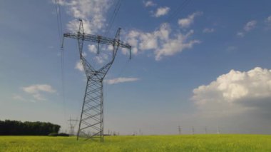 Yüksek voltajlı elektrik direkleri. Güneşli bir yaz gününde güzel bir çiçek tarlasında elektrik direkleri. Elektrik gücü, elektrik ulaşımı, güç kaynağı. Yüksek kalite 4k görüntü