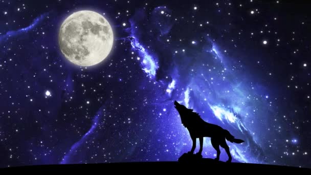 Sylwetka Wilka Wyjącego Księżyca Nocnym Niebie Ruchomymi Gwiazdami Renderowanie Konturów — Wideo stockowe