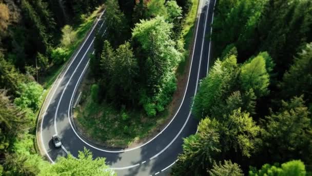 Curva Empinada Sinuosa Una Carretera Montaña Pintoresca Bosque Los Vehículos — Vídeo de stock