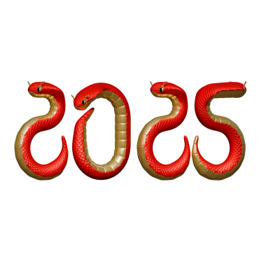 2025 Çin Yeni Yılan Yılı 3 boyutlu Görünümü Bıraktı