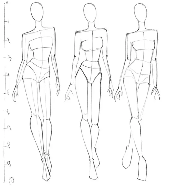 Moda şablonları. Kroki. Çizim kalıbı