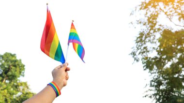LGBTQ bayrağı, cinsiyet çeşitliliğine saygı göstermek ve gurur ayında lgbtq + toplumunu kutlamak için el ele tutuşmuş, yumuşak ve seçici odaklanma.                              