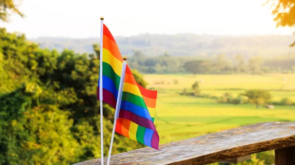 Bandera Lgbtq Condecorada Para Llamar Mundo Respetar Diversidad Género Celebrar — Foto de Stock