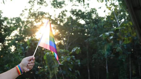 LGBTQ flag holding in a hand to call out the world to respect gender diversity and to celebrate of lgbtq+ community in pride month, soft and selective focus.