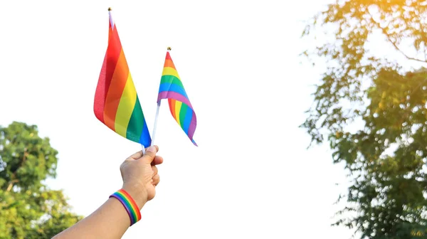 Bandera Lgbtq Sosteniendo Una Mano Para Llamar Mundo Respetar Diversidad — Foto de Stock