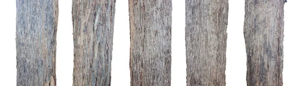 Isolated Teak Stems Clipping Paths White Background — Stock Photo, Image
