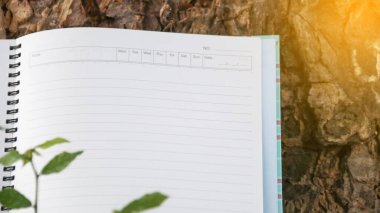 Çimlerin üzerinde kopyalama alanı olan beyaz defter kağıdı                              