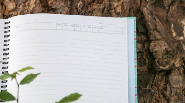 Çimlerin üzerinde kopyalama alanı olan beyaz defter kağıdı                              