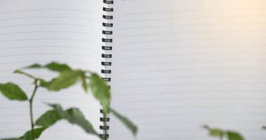 Çimlerin üzerinde kopyalama alanı olan beyaz defter kağıdı                              