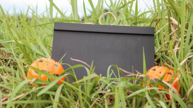 Çimlerin üzerinde küçük karatahta ve yapay balkabakları var.