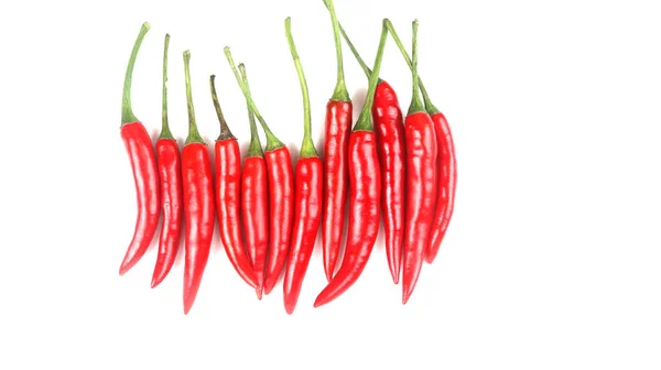 Vereinzelte Rote Reife Chili Auf Weißem Hintergrund Weich Und Selektiv — Stockfoto