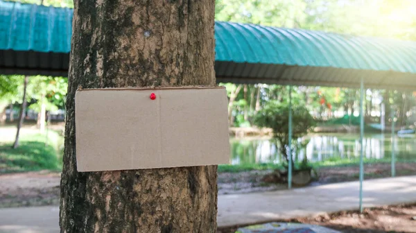 Hnědý Papír Kopírovat Mezerník Kmeni Stromu Koncept Pro Lesy Ochranu — Stock fotografie