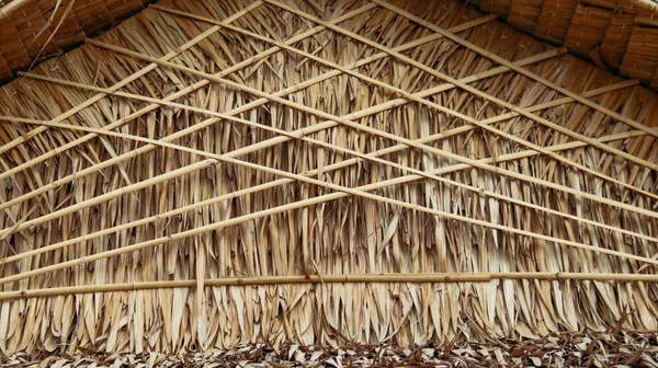 Stock image Close up view of brown texture of thatch gable background                           