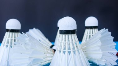 Badminton kepenk siki koyu arka planda.                               