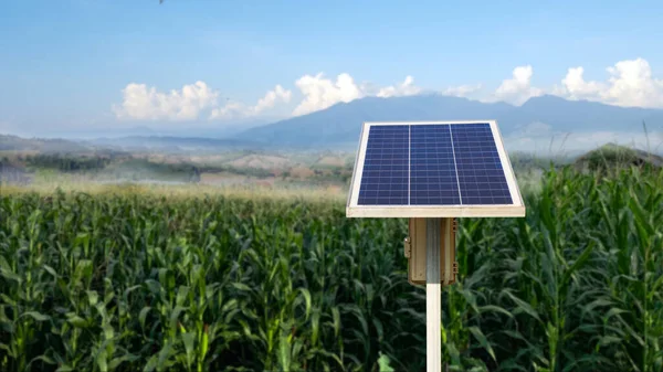 Photovoltaic panel on blurred corn field in background, concept for using solar cell panel to power water pump to agriculture area