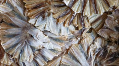 Yerel pazardaki kuru deniz ürünlerine yakın görünüm, yumuşak ve seçici odaklanma                               