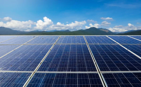 Solární Panely Jsou Znečištěny Ptačími Hovínky Koncepce Údržby Solárních Panelů Royalty Free Stock Obrázky