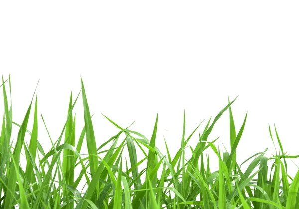 Vereinzeltes Grünes Gras Mit Schneidewegen Auf Weißem Hintergrund — Stockfoto
