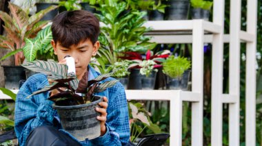 Genç çocuk, botanik bahçesindeki küçük bir saksıdaki bitkiyi incelemek ve incelemek için küçük beyaz bir mikroskop kullanıyor. Yumuşak ve seçici bir odak noktası.                               