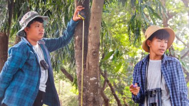 Genç Asyalı çocuklar, yerel bir parkta, yumuşak ve seçici bir odak noktası olan bir ağacı ölçmek için mezura kullanıyorlar.