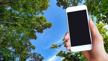 Bir cep telefonu yukarı bakan bir ağaç tepesine yerleştirilir. Bu resim modern teknoloji ve doğanın kesişmesini sembolize ediyor, çevre koruma teknolojisini vurguluyor..