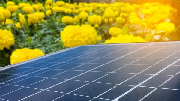 stock image Solar panels are set against a backdrop of vibrant marigold flowers. The juxtaposition of advanced technology and natural beauty emphasizes the integration of renewable energy sustainable environment.