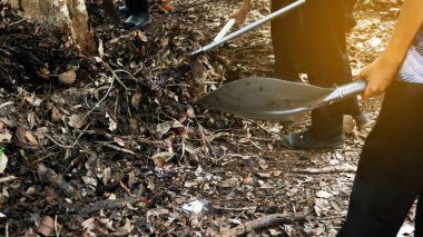 Ham maddeleri karıştırmak için elleri küreği tutuyor. Kurumuş yapraklar ve gübre de dahil. Bitki yetiştirmek için biyolojik gübre yapmak için.