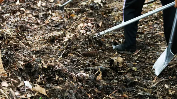 stock image Hands holding shovel to mix raw materials including dried leaves and dung to make bio fertilizer for growing plants