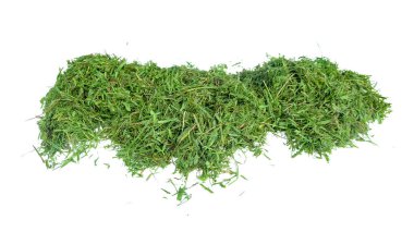 Çim biçme makinesinden çim biçme makinesini kes, beyaz bir zemine yaslan, dokuyu yakalamak için yolları kes ve tasarım projelerine kusursuz entegrasyon için parçaları kes.