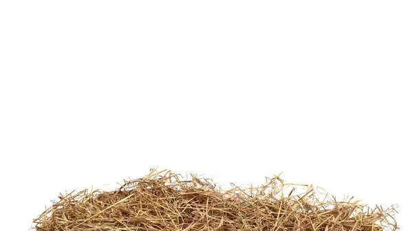 stock image cut out image of lump of dry straw with clipping paths, against white background, highlighting the texture and individual strands for versatile design applications.