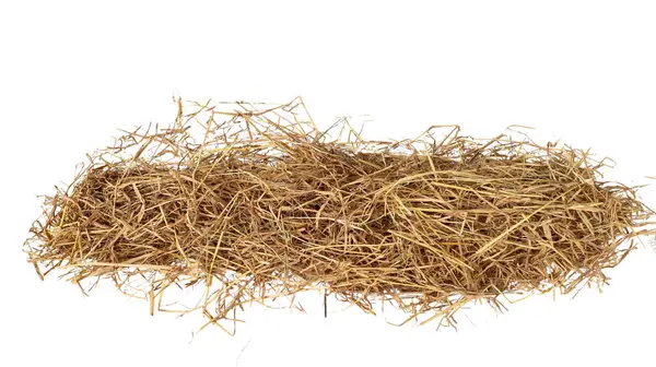 Beyaz arkaplan üzerinde kırpma yolları olan kuru saman yığınının görüntüsünü kes, çok yönlü tasarım uygulamaları için doku ve bireysel iplikleri vurgula.