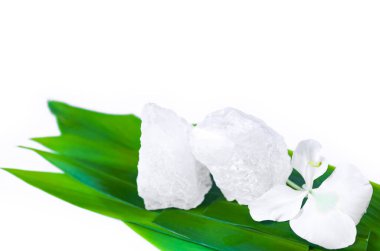 Beyaz arka planda izole edilmiş yeşil yapraktaki beyaz kristal berrak alum küpü. Kimyasal bileşik madde konsepti kaplıca ve güzellik endüstrisi.