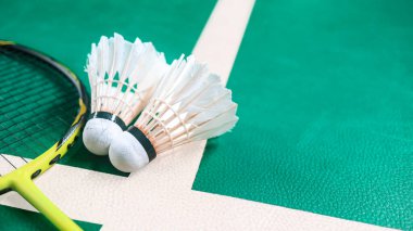 Beyaz badminton mekikleri ve badminton raketleri yeşil zemin badminton kortunda. Badminton yarışması ve aşıkları için kavram.