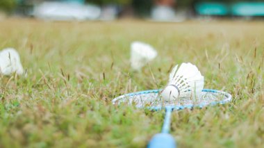 Bir badminton raketi ve bir mekik horozu çimenli bir alanda dinleniyor, açık hava sporlarının neşesini, sağlıklı yaşamı ve spor ve bağ kurmak için eğlence aktivitelerinin önemini sembolize ediyor..