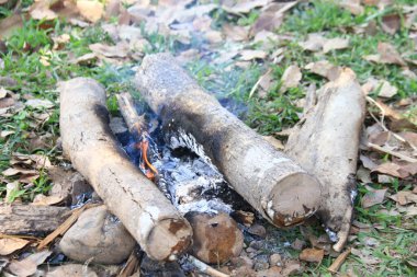 Katı ahşaptan yapılmış klasik bir odun ocağı kırsal bölgelerde hâlâ yaygın olarak kullanılır. Sadece yakacak odun ya da biyokütle gerektiren sürdürülebilir yemekleri temsil eder..