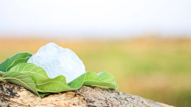 Bulanık arka planda yeşil yapraklı alum taşı parçaları. Geleneksel uygulamalardaki doğal mineraller ve bitki bazlı malzemeler ile bütünsel refah arasındaki bağlantı.