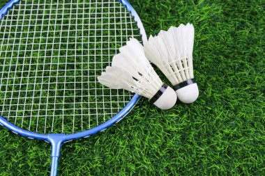 Beyaz mekiklerin horozları ve badminton raketleri suni çimlerin, açık hava sporlarının ve eğlencenin üzerinde dinleniyor..