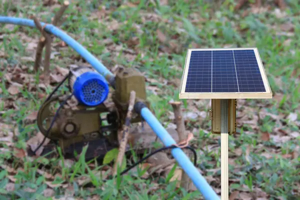 Su pompasına enerji sağlamak için yemyeşil bir bahçeye kurulmuş bir güneş paneli, yenilenebilir enerji kavramı..