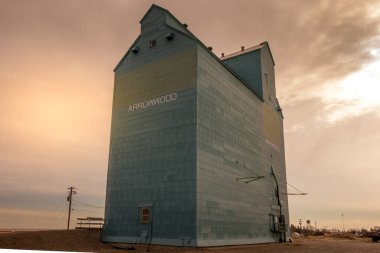 Ovaların görkemli ahşap devleri. Bazıları hala çok eski bir çağın simgesi olarak duruyor. Arrowwood, Alberta, Kanada