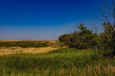 Kirkcaldy Vulcan County Alberta Kanada 'nın hayalet kasabasında kırsal kalıntılar