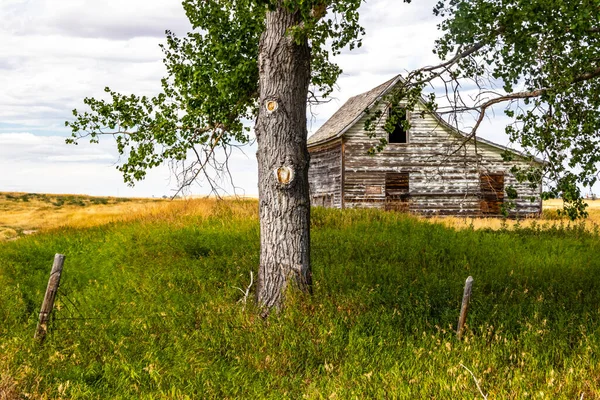 Bâtiments Agricoles Rustiques Dans Les Prairies Comté Vulcan Alberta Canada — Photo