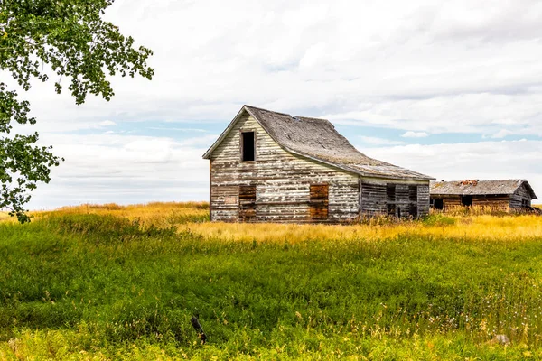 草原の上の素朴な農場の建物 カナダのアルバータ州のバルカン郡 — ストック写真