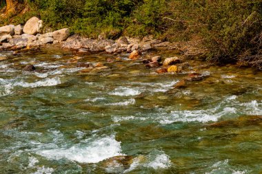 Banff Ulusal Parkı boyunca uzanan Baker Creek Ormanları Alberta Kanada