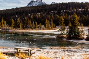 Şelale göletlerinde su donmaya başladı. Banff Ulusal Parkı, Alberta, Kanada