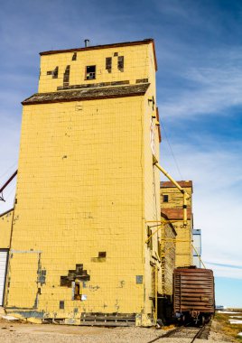 Ovaların görkemli ahşap devleri. Bazıları hala çok eski bir çağın simgesi olarak duruyor..