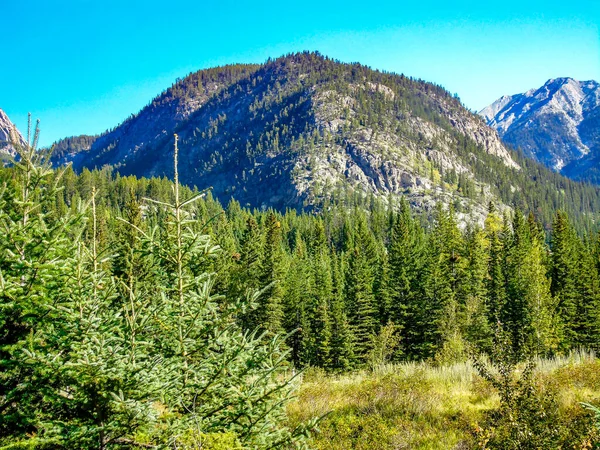 Pemandangan Rockies Dari Bow Valley Parkway Taman Nasional Banff Alberta — Stok Foto