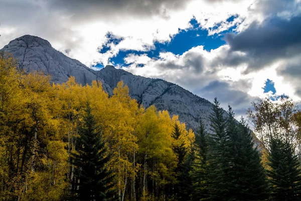 Fall Colours Make Appearance Mule Shoe Banff National Park Alberta — Stock Photo, Image